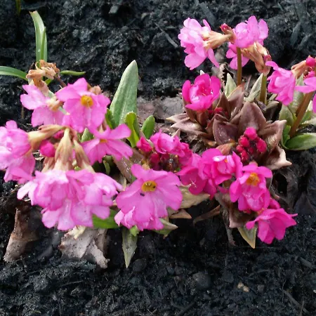 Apartament An Der Foersterei In Gossra Bei Haynsburg