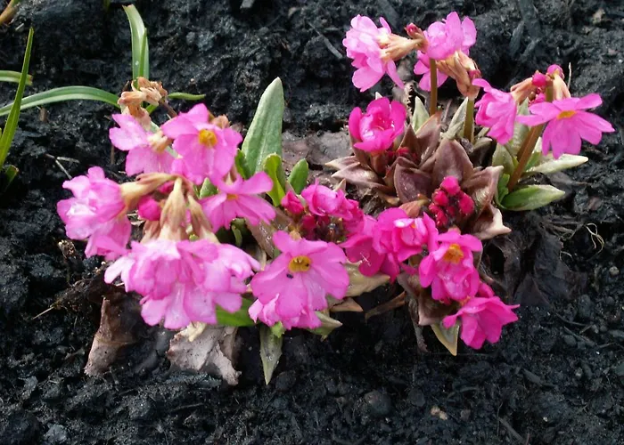 Διαμέρισμα An Der Foersterei In Gossra Bei Haynsburg